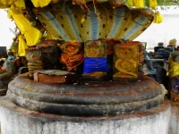Sri Seshapureeswarar Temple: Where King Sesha Worshipped Mahadeva and Sarpa Dosha is Dissolved