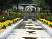 Dahlia Flowers Fountain other view