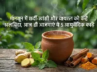 वैदिक हर्बल चाय: मानसून में सर्दी-खांसी और वायरल को कहें अलविदा, आज ही आजमाएं ये 5 आयुर्वेदिक काढ़े