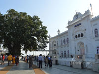 with tree front view of anandpur sabhi gurdwara